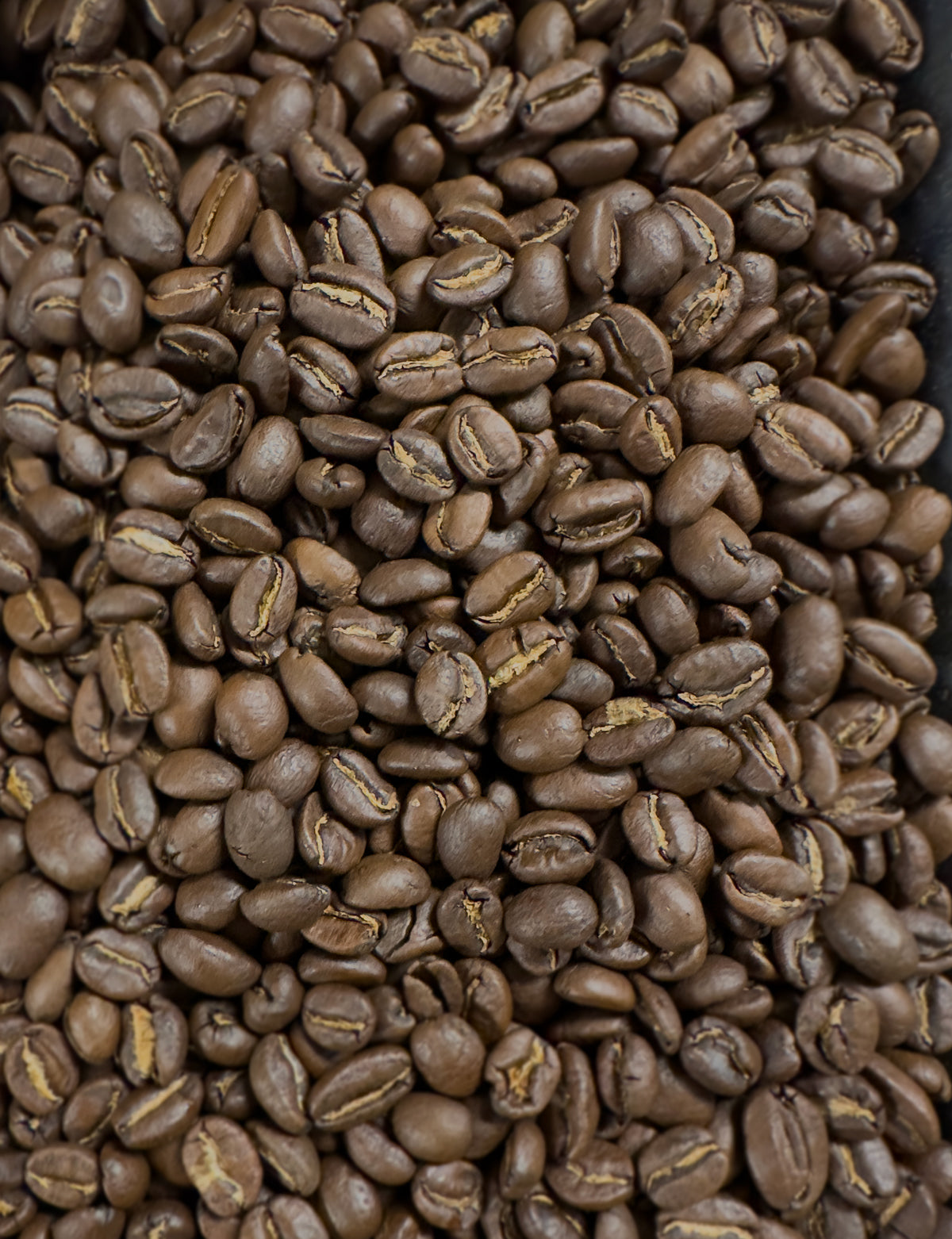 Organic Ethiopia Yirgacheffe Fresh Coffee Beans