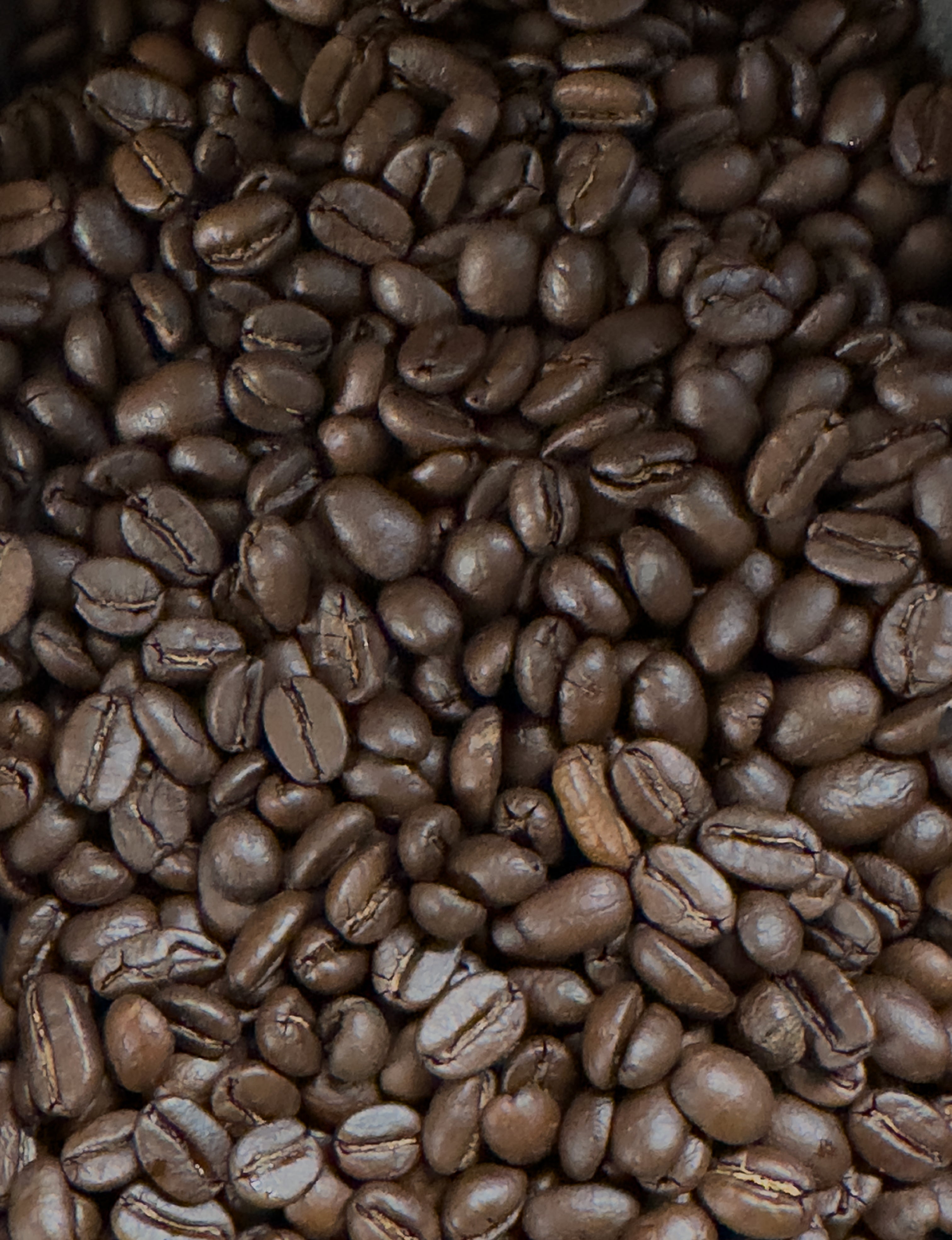 French Roast Colombia