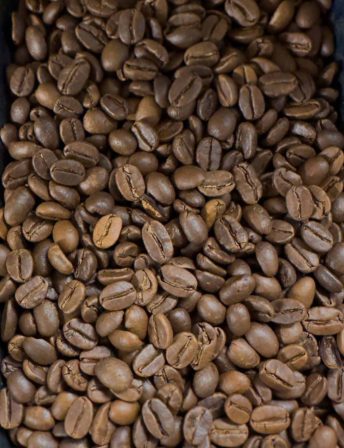 India Malabar Roasted Coffee Beans