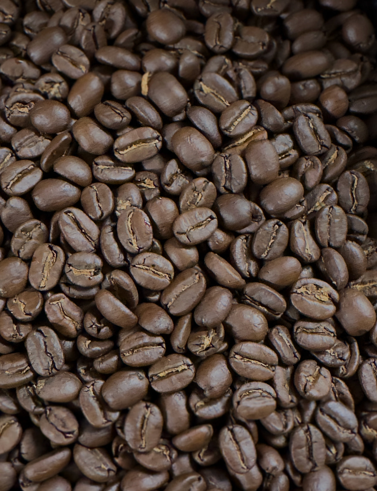 Kenya Roasted Coffee Beans