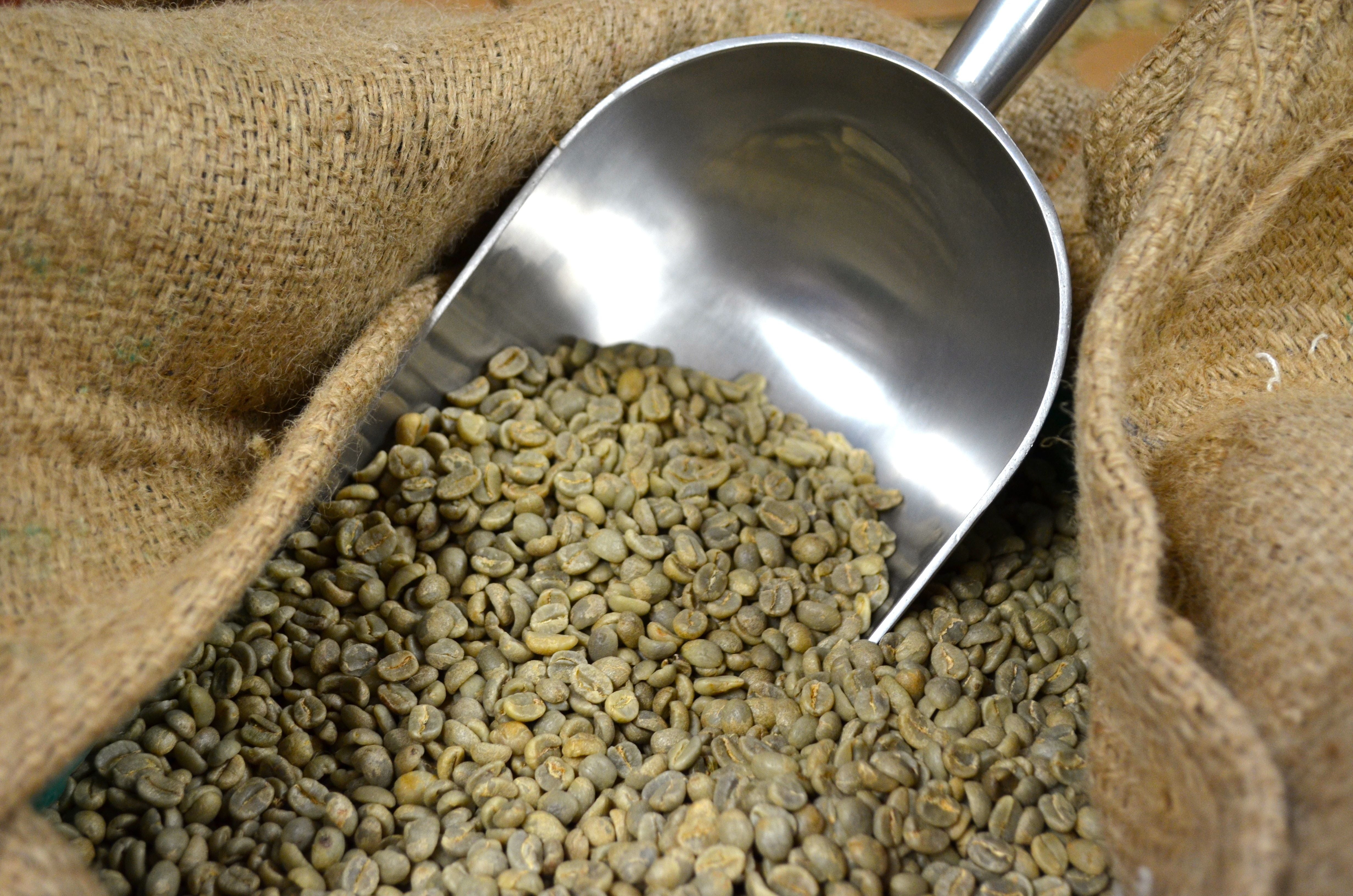 Kenya AA