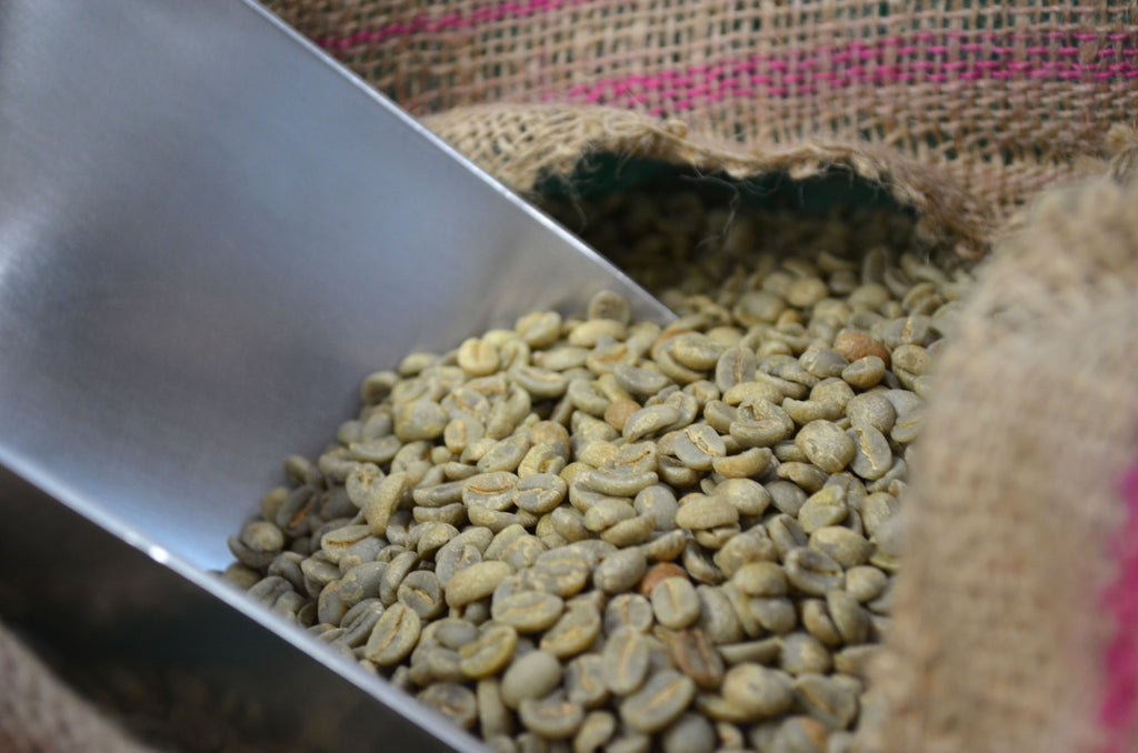 Brazil Cerrado