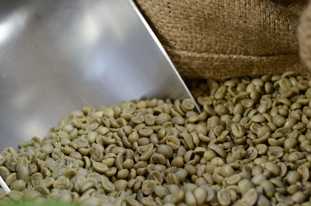 Organic Costa Rica Amistad