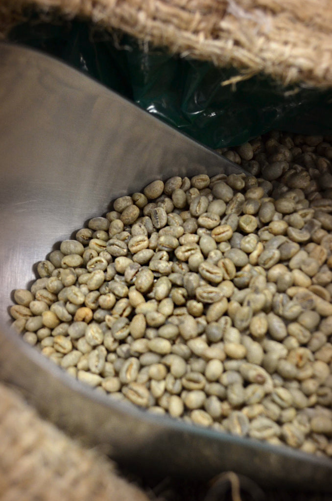 Tanzania Peaberry
